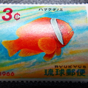 【即決R171】送料63円 琉球切手（沖縄）熱帯魚シリーズ ハマクマノミ 3¢ 1966年(昭和41年) 型価70の画像1