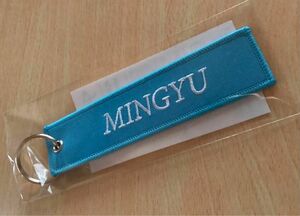 SEVENTEEN FOLLOW THE CITY FLIGHT TAG KEYRING ミンギュ