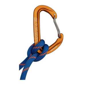 MAMMUT Sender Wire Carabiner【未使用・新品】マムート カラビナ 即納♪ラスト1の画像4