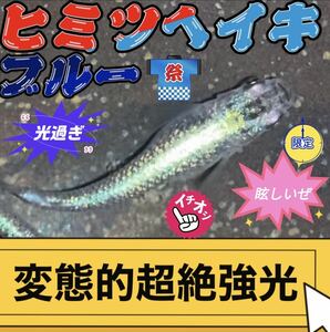 【大の丸メダカ】超極上ヒミツヘイキメダカ　ブルータイプ　有精卵20＋a 最高クラス メダカ卵