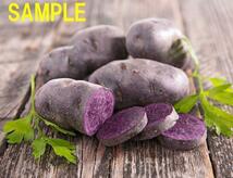 【送料無料】シャドークイーン 種芋 約1.3kg　紫じゃがいも　ジャガイモ　馬鈴薯　①_画像2