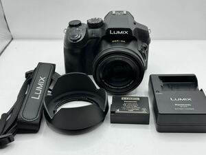 ★超極上級★パナソニック PANASONIC LUMIX DMC-FZ300