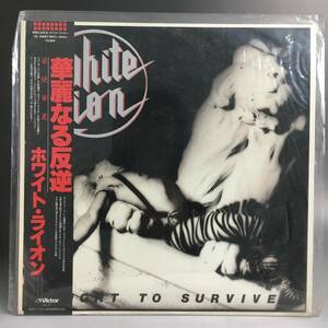 WHITE LION「Fight To Survive」ホワイトライオン「「華麗なる反逆」国内盤帯付きレコード/廃盤レコード