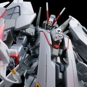 HG 1/144 クロスボーンガンダムＸ　０フルクロス　（プレバン限定）