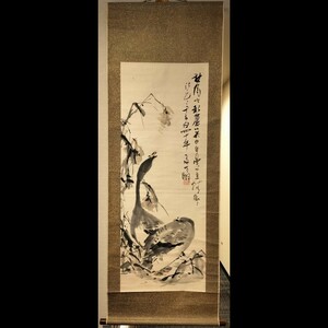 [真作] 奥原晴湖 掛軸 「芦雁」 肉筆 紙本 水墨画 明治 日本画家 女流 南画家 野口小蘋 と双璧 茨城県 戦前 女性 画家 中国 費晴湖 に私淑