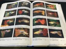 【極上品】アクアログ　卵胎生メダカ・ライブベアラーall Livebearers and Halfbeaks, Guppy, Platys, Mollys._画像5