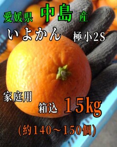 送料込！！愛媛県中島産いよかん家庭用極小2S箱込15㎏伊予柑産地直送③