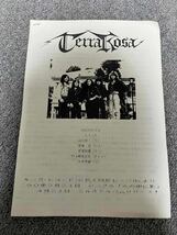 レア！　一般入手不可能!! Terra Rosa（テラ・ローザ）CD+EP+アー写＋プロフィールのプロモーション・キット1990。_画像7