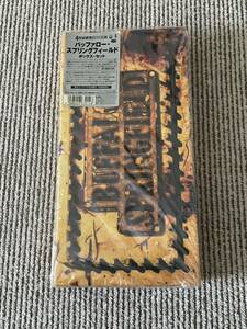 Buffalo Springfield Box Set　4CD　輸入盤国内仕様　英文エッセイ完全翻訳・英語歌詞付