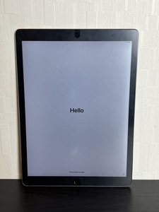 12684-05★Apple iPad Pro (12.9インチ) 128GB ML0N2J/A Wi-Fiモデル 本体のみ★