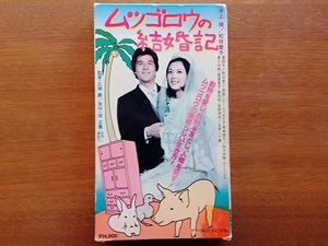 松坂慶子 井上順　ムツゴロウの結婚記　VHS　ビデオ　畑正憲　DVD　送料込み　