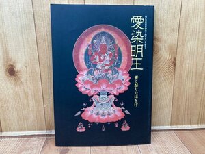 愛染明王　愛と怒りのほとけ　神奈川県立金沢文庫　CGA921