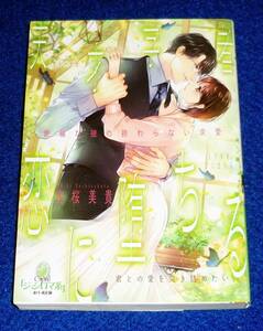  天才学者、恋に堕ちる 絶倫な彼の終わらない求愛 (オパール文庫 5513) 文庫 2023/2　★吉桜 美貴 (著)【061】