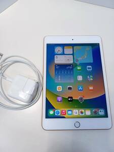 【SIMロック解除済】iPad mini 第5世代 MUXE2J/A (A2124) 256GB