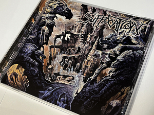 SOULS TO DENY / SUFFOCATION サフォケイション 輸入盤 新品同様