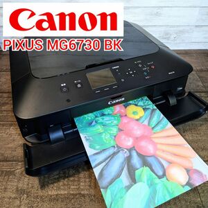 【動作確認済】Canon カラープリンター PIXUS MG6730 BK