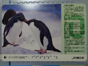 JR Восточная Япония хохлатый пингвин io-card ( использованный )