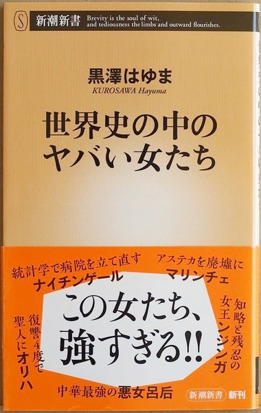 ★送料無料★ 『世界史の中のヤバい女たち』 魔女ラグネルの結婚 マリンチェ アマゾーン ジャンヌ・ダルク ナイチンゲール 黒澤はゆま 新書