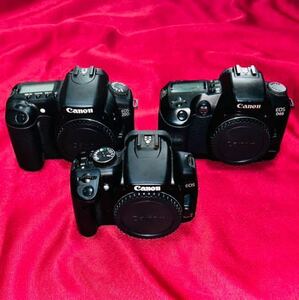 【説明文必読】[動作品] 一眼レフ デジタルカメラ Canon EOS kiss X ＆ EOS 20D ＆ EOS D60 ボディ 3台 まとめ売り お買い得品