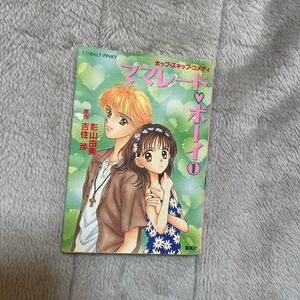 《即日発送》ママレードボーイ/あのこに1000% 小説２セット