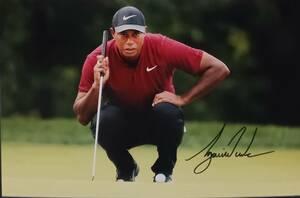 * Tiger * Woods autograph sa Info to/ photograph Major victory 15 times historical 2 person eyes. tolip legrand dos Ram 