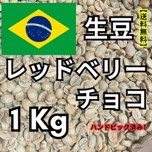 　【24時間以内に発送】レッドベリーチョコ【生豆珈琲】【1Kg】【送料無料】