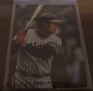  Calbee 1975 year /No861 rice field .. one / Hanshin Tigers 