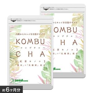 コンブチャ　約６か月分（90粒×2袋）　　　シードコムス　　　紅茶キノコ　酵母　乳酸菌　　ダイエット　　　送料無