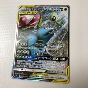 セレビィ&フシギバナ SA SR スペシャルアート ポケモンカード ポケモンカードゲーム