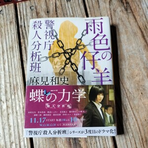 ☆雨色の仔羊　警視庁殺人分析班　講談社文庫☆