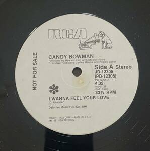 U.S★盤プロモ盤’１２inch 　CANDY BOWMAN　／I WNNA FEEL YOUR LOVE 　SOUL／DISCO ★レコ番号：PD-12305