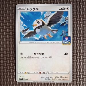 ポケモンカード ムックル プロモ 262/s-p