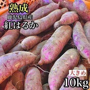 大きめ◎紅はるか 訳あり 10kg さつまいも シルクスイート好きに e