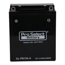 ProSelect(プロセレクト) バイク GL-PB12A-A ナノ・ジェルバッテリー(YB12A-A 互換)(ジェルタイプ 液入充電済) PSB131 密閉型MF_画像4