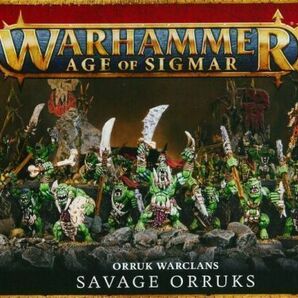 ◆【オールク・ウォークラン】サヴェッジ・オルク Savage Orruks[89-19][WARHAMMER A.O.S]ウォーハンマーの画像1