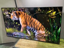 Panasonic 液晶テレビ VIERA(ビエラ) TH-65MX950 [65V型 /4K対応 /YouTube対応 /Bluetooth対応] 2023年製造 美品_画像4