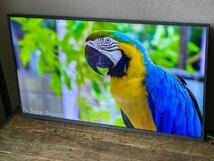 Panasonic パナソニック TH-40JX750 VIERA ビエラ 4K液晶テレビ 4Kダブルチューナー搭載 2022年製造 超美品 283_画像3