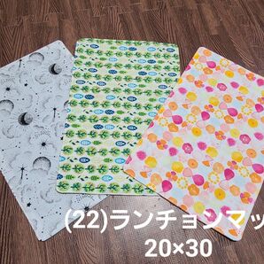 (22)ハンドメイド ランチョンマット3枚 20×30