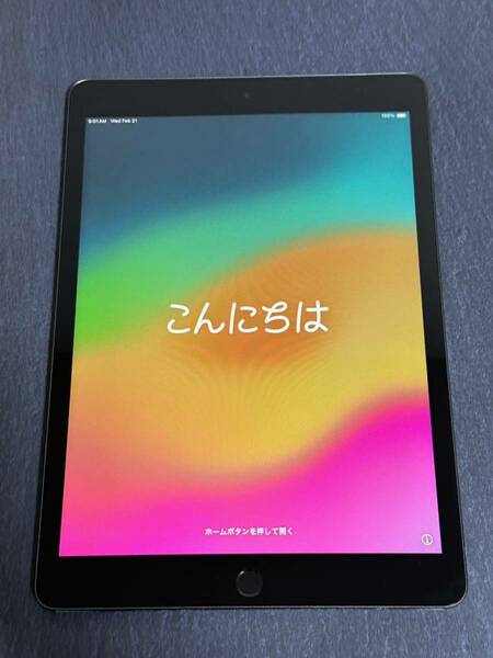 iPad 9世代 64GB Wi-Fiモデル スペースグレー sku13