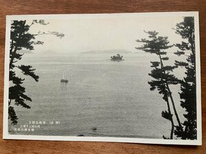 VV-70 ■送料込■ 福岡県 博多 翠緑色濃き博多湾の風光 ヨット 船 島 帆掛船 海 自然 湾 風景 レトロ 絵葉書 古葉書 写真 古写真/くNAら