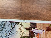 VV-224 ■送料込■ 朝鮮 パコダ公園 寒水石仏塔 朝鮮人 子供 人 民族 衣装 神社 寺 宗教 風景 韓国 絵葉書 古葉書 写真 古写真/くNAら_画像8