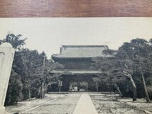 VV-284 ■送料込■ 新潟県 三条市 本成寺 山門 建築物 建物 神社 寺 宗教 寺院 庭 門 風景 景色 レトロ 絵葉書 古葉書 写真 古写真/くNAら_画像3