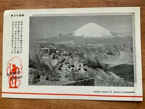 VV-526 ■送料込■ 富士箱根国立公園 大涌谷地獄巡り 富士の霊峰 富士山 自然 山 登山 風景 景色 レトロ 絵葉書 古葉書 写真 古写真/くNAら