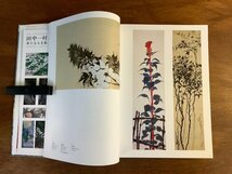 HH-7262 ■送料込■ 田中一村 新たなる全貌 2010年 作品集 画集 図録 絵画 日本画家 栃木県出身 本 古本 古書 359p /くJYら_画像6