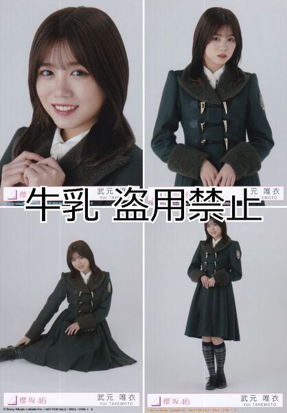 武元唯衣 生写真 コンプ 櫻坂46 何歳の頃に戻りたいのか?