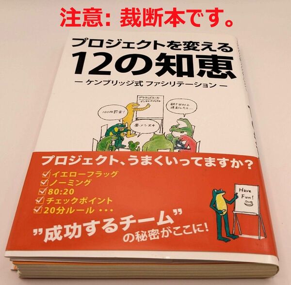 【裁断済】プロジェクトを変える12の知恵― ケンブリッジ式 ファシリテーション