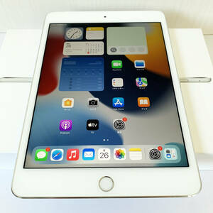 Apple iPad mini 第4世代 Wi-Fi+Cellular 128GB　MK772J/A
