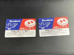 高鷲スノーパーク&ダイナランド 全日共通リフト券 大人券2枚