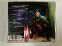 CD「アダム・ランバート / フォー・ユア・エンターテイメント」ADAM LAMBERT　FOR YOUR ENTERTAINMENT_画像5