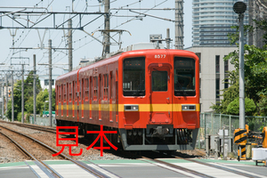 鉄道写真データ（JPEG）、00636009、8000系（8577F）、東武鉄道亀戸線、小村井駅、2016.06.02、（7360×4912）